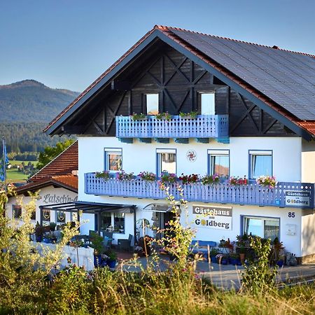 Gaestehaus Am Goldberg Sankt Oswald-Riedlhuette Zewnętrze zdjęcie