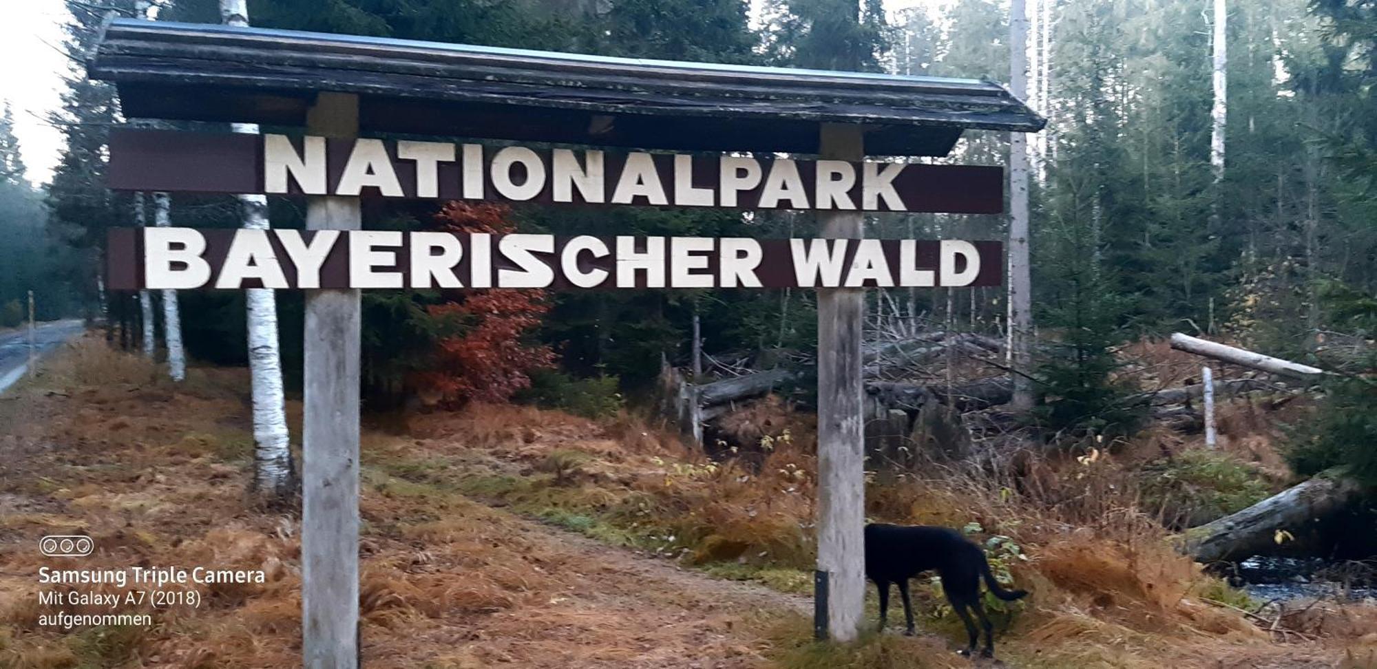 Gaestehaus Am Goldberg Sankt Oswald-Riedlhuette Zewnętrze zdjęcie